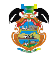Municipalidad Distrital de Pallasca